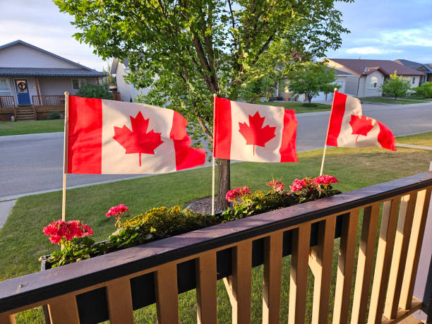istock Three red and white Canadian flags fluttering outdoors in the breeze 2148539827
