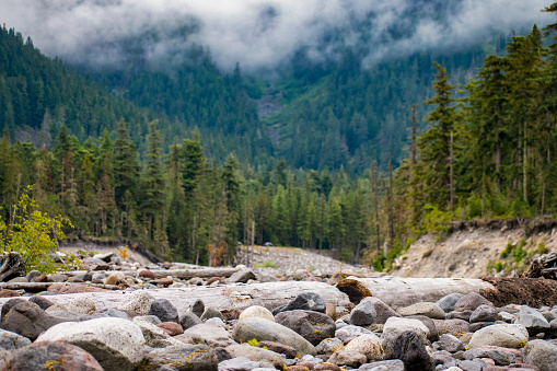 Ground level perspective of a rocky river bed. Shot in shallow depth of field, putting the foreground rocks in focus, and blurring the pine trees and hillsides in the background.