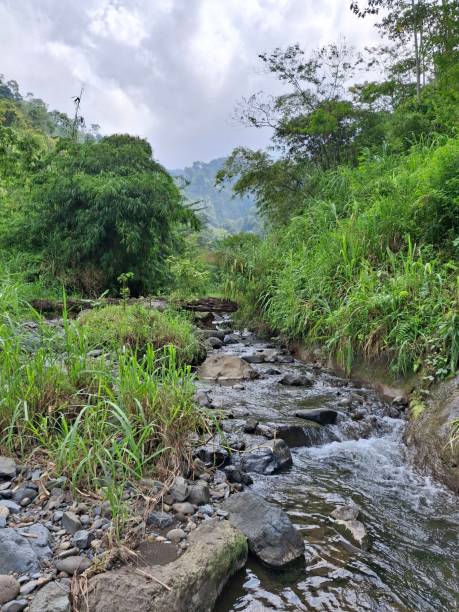 istock The rocky clear river is flanked by mountain slopes with green trees and a backdrop of mountains and clear skies 2148542299
