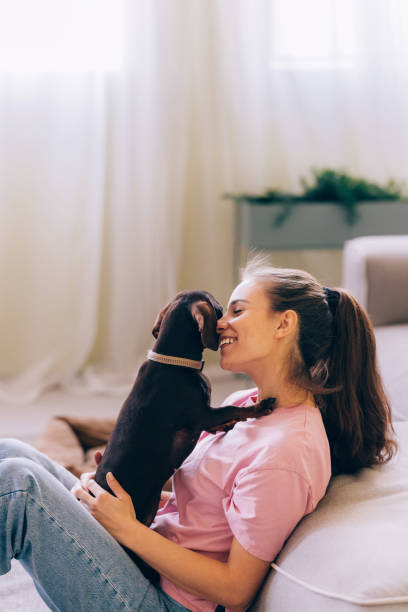 istock Young Woman Enjoying Time with Her Loving Dachshund 2148542528
