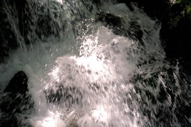 Image of cascade captured on the track that takes you to the Mount Fyffe Forest located near Kaikoura.  It's a nice little track with a couple of nice views overlooking the bay, and you also cross a couple of little waterfalls.