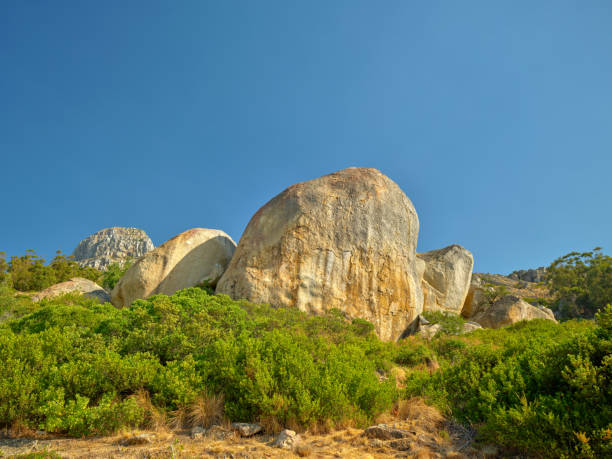 A solitary rounded white boulder sits in a sea of white sand shading a smaller boulder that sits in front of it.