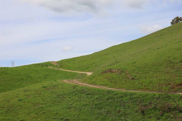 istock Vargas plateau, California 2148548175
