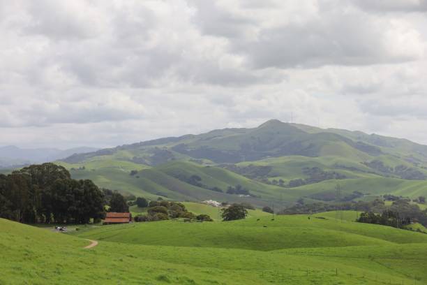 istock Vargas plateau, California 2148548197