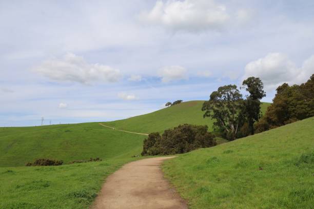 istock Vargas plateau, California 2148548312