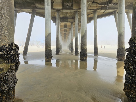 Under the HB Pier during an insane low tide caused by the tsunami resulting from the great Japan earthquake.