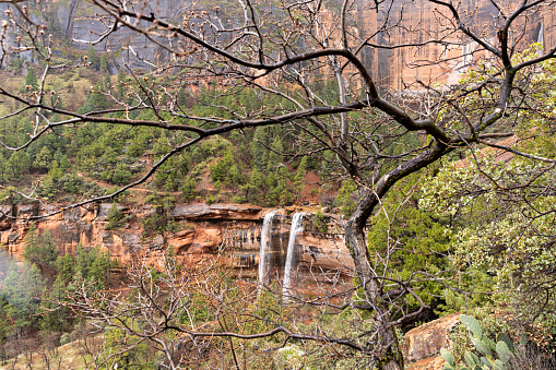 Spring rain allows hikers on the Emerald Pools trails to see beautiful waterfalls streaming over the cliffs of Zion National Park in Utah