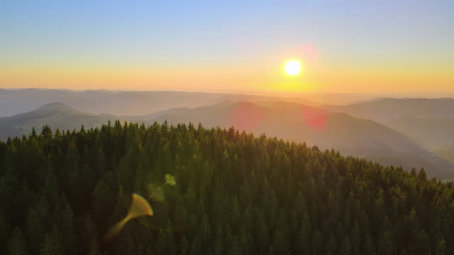 Beautiful nature landscape. Aerial view of colorful sunset in wild mountains. Dark pine forest illuminated with bright setting sun