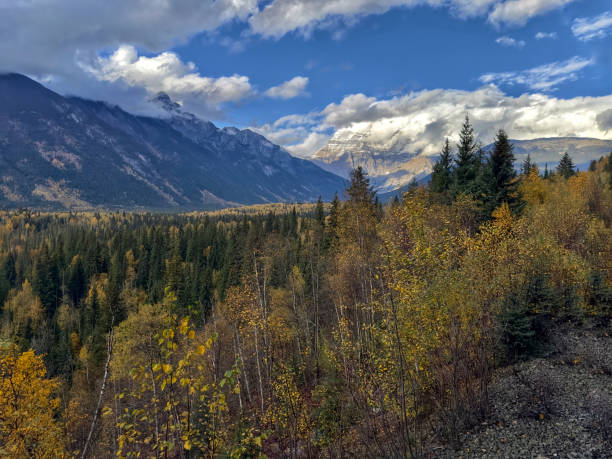 Wide shot of Mount Robson in the distance, with a lush valley ion the foreground