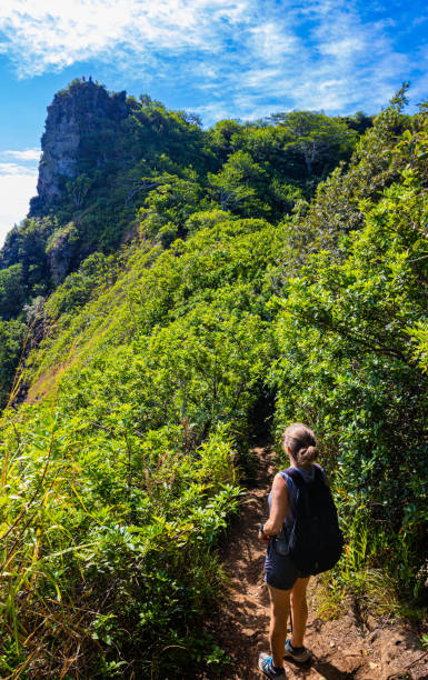 istock Female Hiker on Sleeping Giant Mountain, Kauai, Hawaii 2148556704