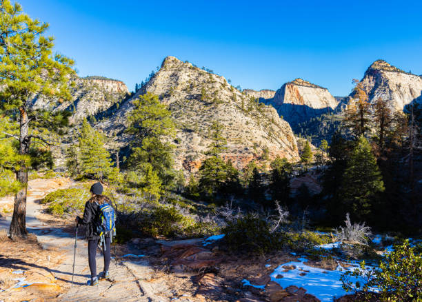 istock Female Hiker on The West Rim Trail 2148556932
