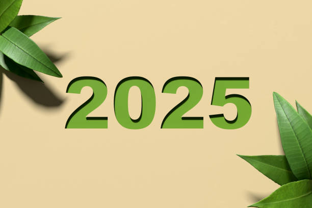 istock Year 2025 green recycling and save our planet and earth environment. 2148568668