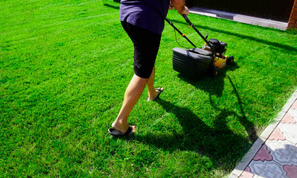 istock The man is working in the garden. Mowing grass with a lawn mower. 2148568902