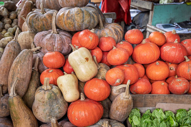 Different kind of pumpkins for sale at a market stall at the famous food market in Berastagi in North Sumatra