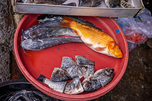 Exhibition of fish for sale, including goldfish at a fishmongers market stall at the famous food market in Berastagi in North Sumatra