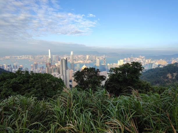 istock Hong Kong cityscape at Victoria peak 2148571184