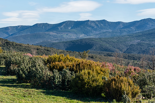 Mountain range and landscapes of the natural park of the northern highlands of Guadalajara, Castilla La Mancha