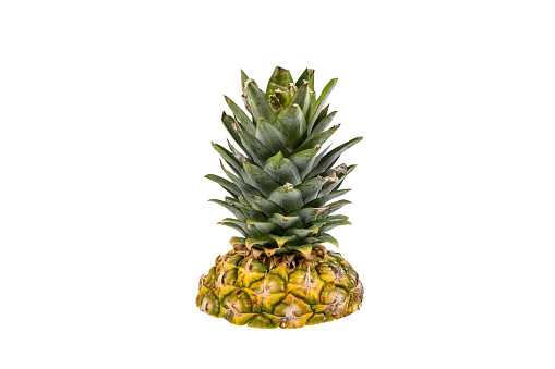 Cut pineapple stem isolated on white background. ananas comosus