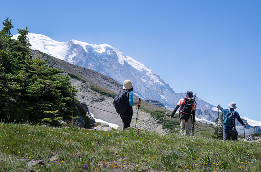 Three people hiking Sunrise Trail with Mount Rainier in the background. Mt Rainier National Park. Washington State.