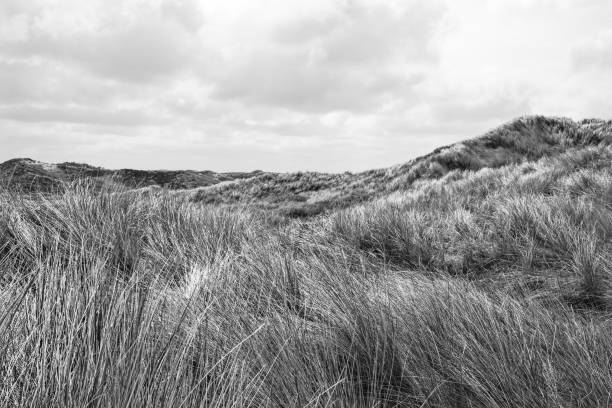 istock sand dunes and grass and lonesome road 2148576578