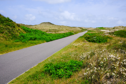 sand dunes and grass and lonesome road