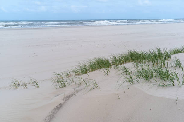 istock North Sea North Holland beach with sea 2148576736