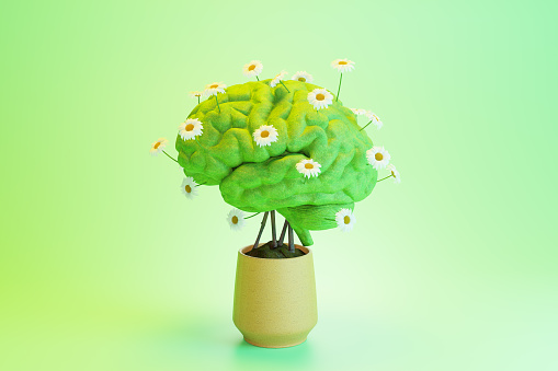 3D rendering of green human brain with white flowers blooming in potted plant against green background