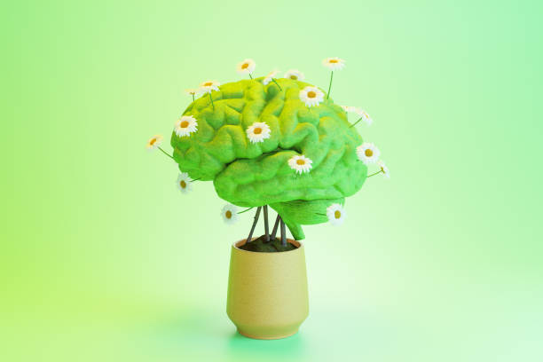 3D illustration of green brain blooming flowers in pot plant stock photo