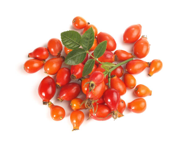 istock Fresh Rosehip - Healthy Nutrition 2148586178