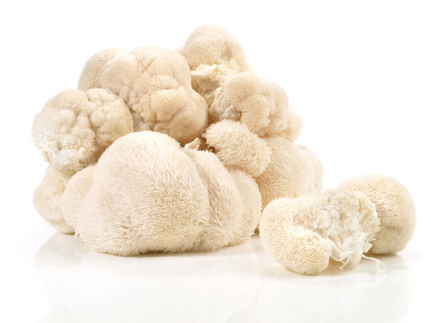 istock Fresh Hericium Mushroom - Healthy Nutrition 2148586188