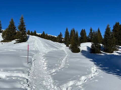 Wonderful winter hiking trails and traces in the fresh alpine snow cover of the Swiss Alps and over the tourist resort of Arosa - Canton of Grisons, Switzerland (Schweiz)