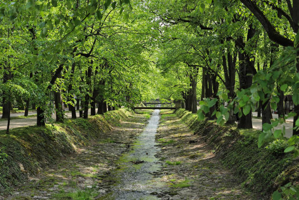 Stream running through a park, Vrnjacka banja - Serbia