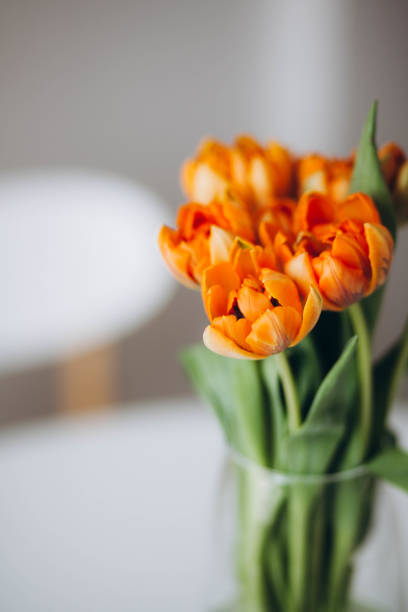istock Orange tulips in a vase on the table. 2148594882
