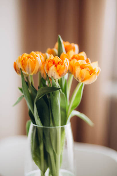 istock Orange tulips in a vase on the table. 2148594890