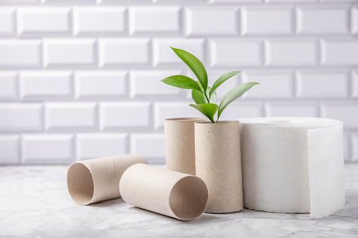 Empty toilet paper roll. Empty toilet paper rolls and plant for on  background. Paper tube of toilet paper. Place for text. Copy space. Flat lay. Eco-friendly reuse recycle