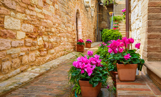 Narrow pedestrian streets and courtyards of Spello. Beautiful old street floral decoration medieval town Spello, Umbria, Italy. Summer, bright and cozy. A trip through the small towns of Italy