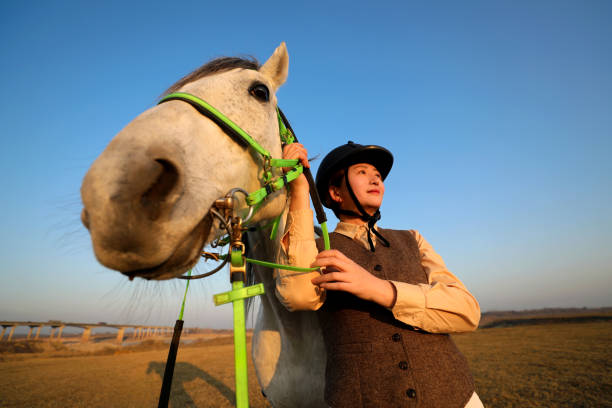 Tyumen, Russia - July 13, 2024: Three horses, ridden by Asian men,galloping down country road into field, raising dust, during Traditional Village Day festival. Competition who faster in horse racing
