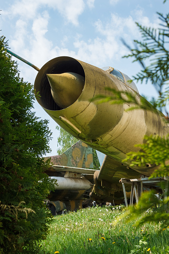 Fragment of a fuselage of an old jet fighter plane among plants
