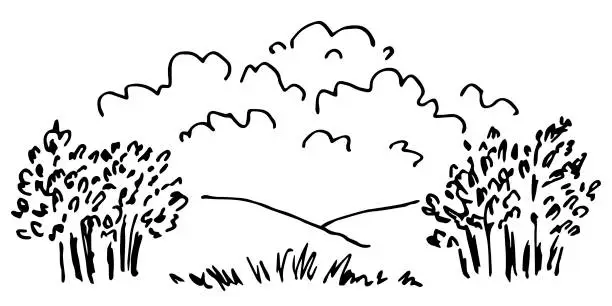 Vector illustration of Trees and bushes, grass, hills, clouds in the sky. Nature, summer landscape. Simple vector drawing with black outline. Sketch in ink.