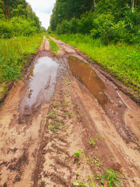 istock Dirt road with puddles after rain 2148600843