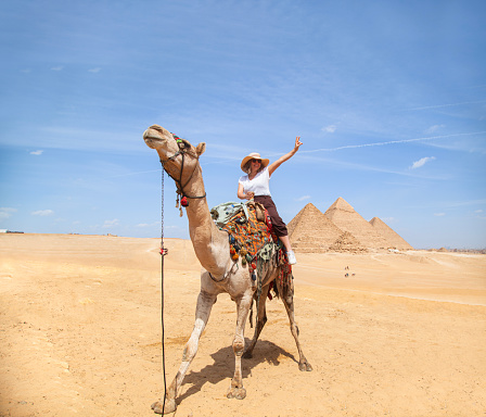 Female tourist riding camel in cairo