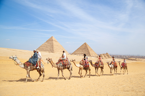 Giza area , Cairo,  Egypt- March 15, 2024\nTourists visit the pyramids with camels.