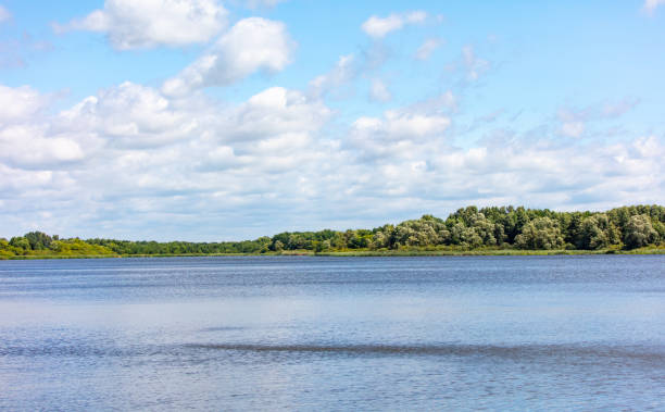 istock Beautiful landscape on the lake in summer 2148601183
