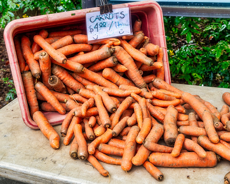 carrots at the farmer's market