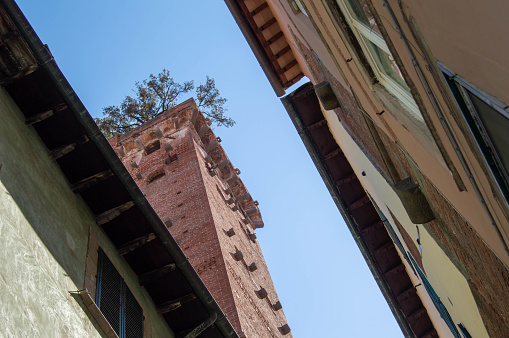 Guinigi tower from Via Sant'Andrea (saint Andrea street), typical Italian yellow buildings and sky