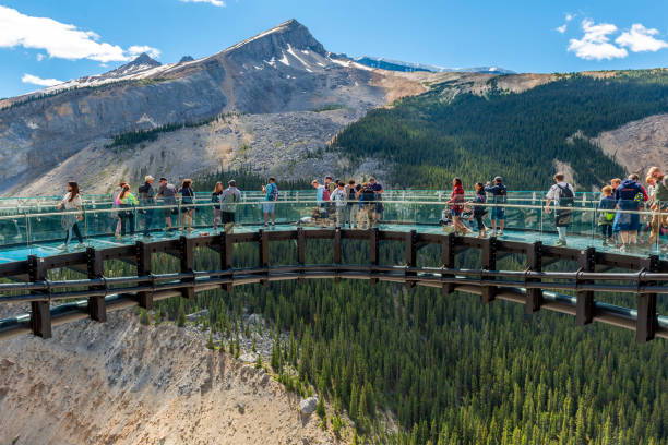 Columbia Icefield Skywalk Tourists, Jasper, Canada Tourists walking on Columbia Icefield Skywalk, Athabasca glacier, Jasper national park, Canada. canadian rockies stock pictures, royalty-free photos & images