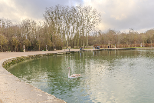 Chateau de Versailles, Versailles, France - December 28, 2023:  The missing of Apollo's Fountain in the Gardens of the Chateau de Versailles on a cloudy day, with a swan.   The fountain has been removed for major restoration work since December 2022.  HDR encoded.