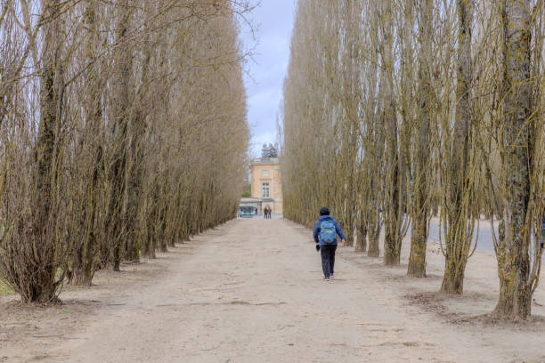 Chateau de Versailles, Versailles, France - December 28, 2023:  A tourist walking toward Petit Trianon on a tree lined path in a cloudy morning.  HDR encoded.