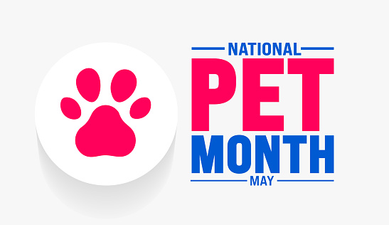May is National Pet Month background template. Holiday concept.