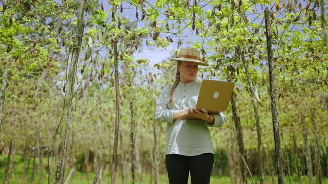Female agronomist with laptop examines vegetable harvest on farm. Young woman farmer checking green bottle gouds enters the data into computer. Modern agribusiness concept. Harvest loss.